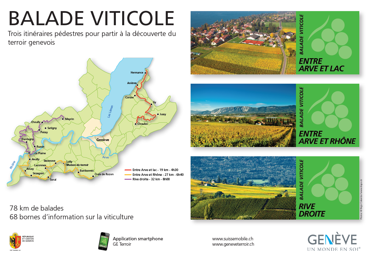 balade viticole