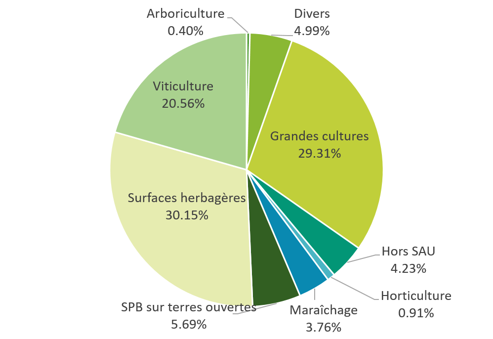 surf agri recensées