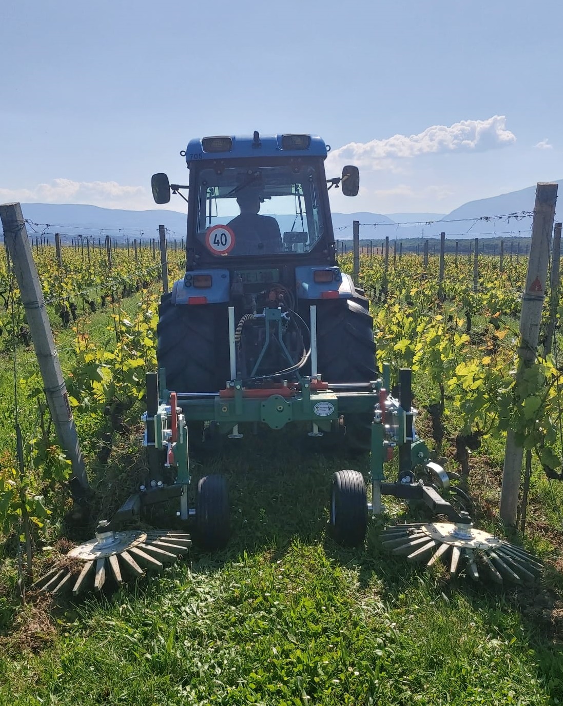 desherbage meca vigne 
