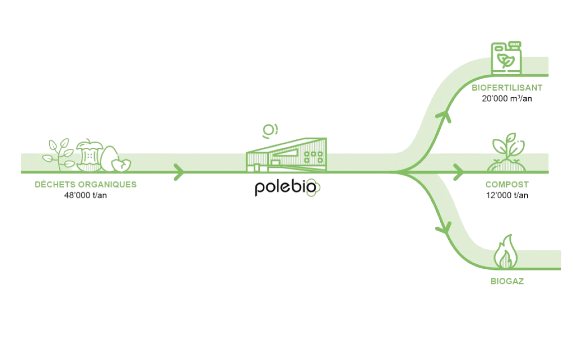 schema Polebio