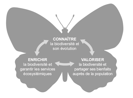 Plan biodiversité