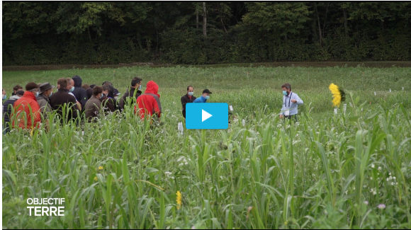 agri conservation leman bleu