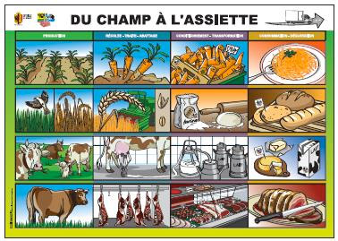 Du champs à l'assiette