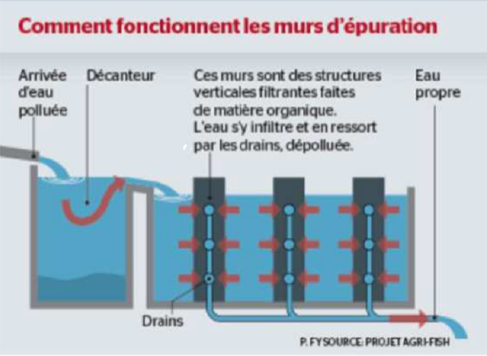 mur epuration